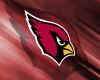 Cardinal logo.jpg (623568 bytes)