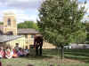 blesstree.JPG (133883 bytes)
